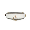 Celine Bag - WHITE