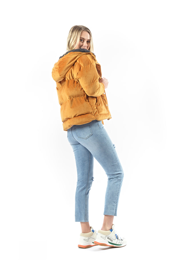 Pamper Velvet Puffer Coat - TAN
